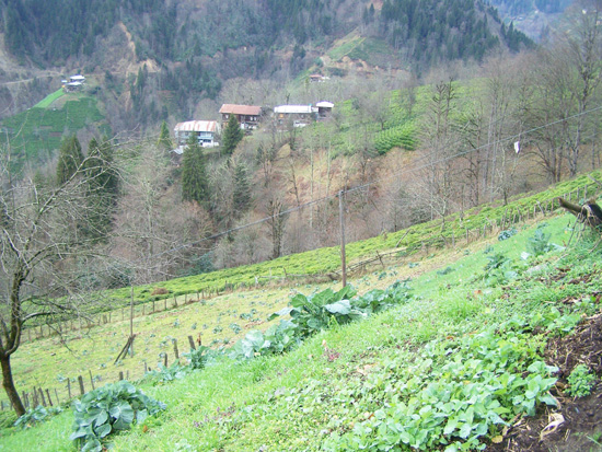 Ocak2010