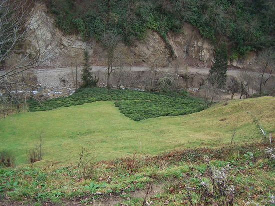 Ocak2010