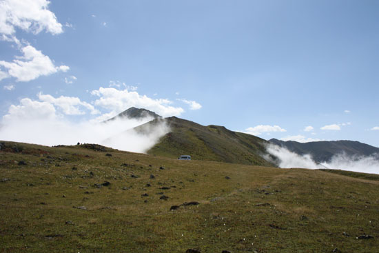 2010Yayla