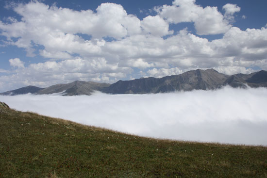 2010Yayla