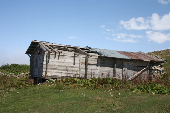 2010Yayla