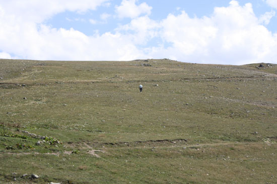 2010Yayla