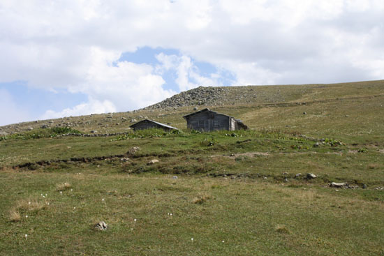 2010Yayla