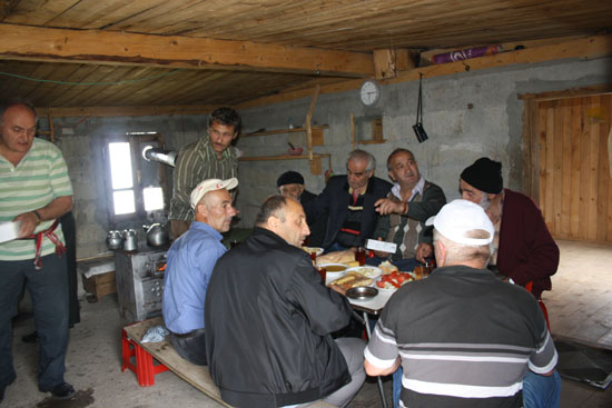 2010Yayla