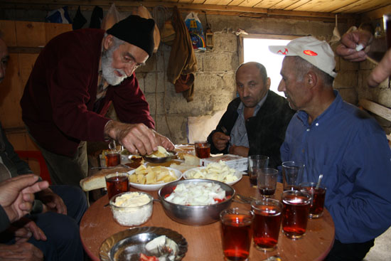 2010Yayla