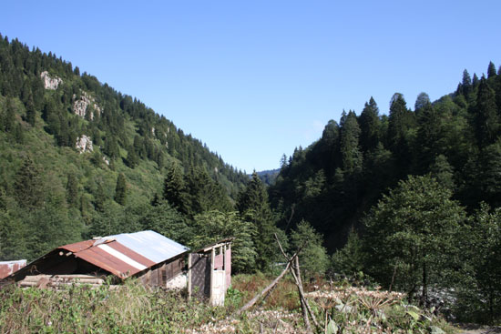 2010Yayla