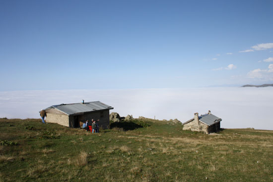 2010Yayla