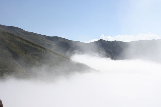 2010Yayla
