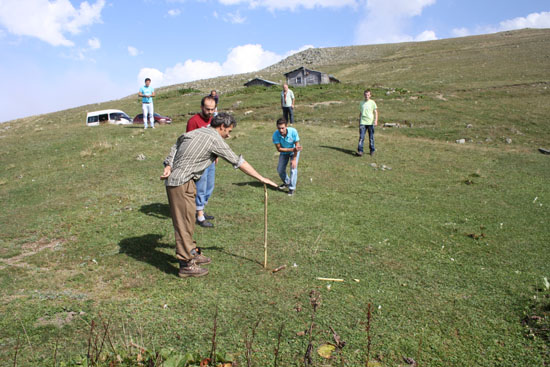 2010Yayla