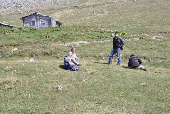 2010Yayla