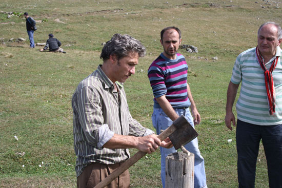 2010Yayla