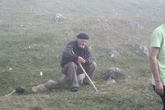 2010Yayla