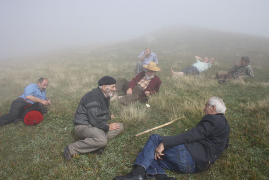 2010Yayla