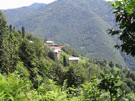 Buzlupnar