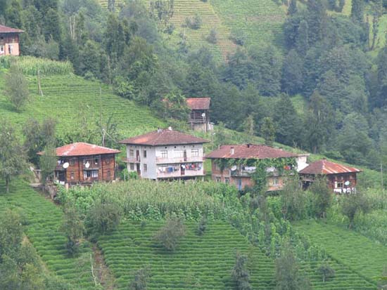 Gurpinar
