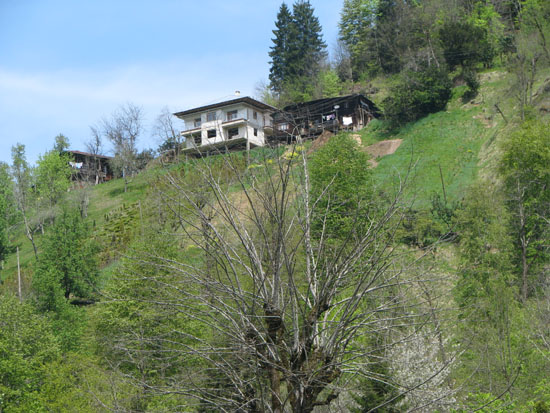 Mays2009