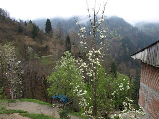 Nisan2010-2