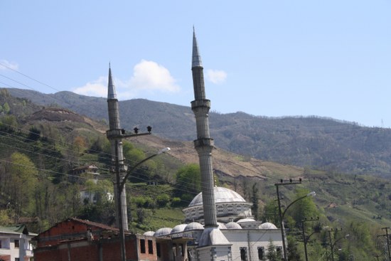 Nisan2010