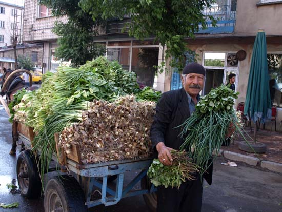 Temmuz2009