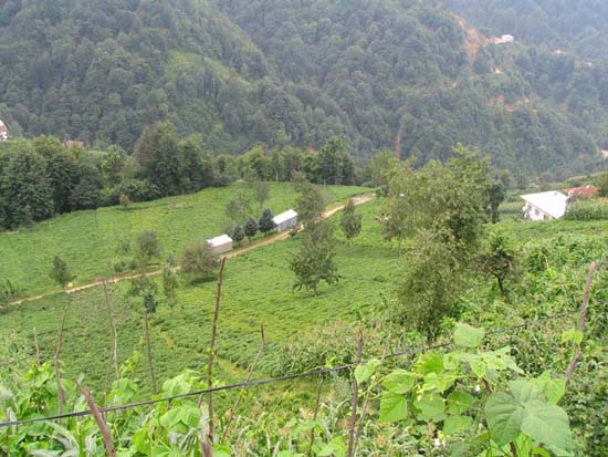 Yeiltepe