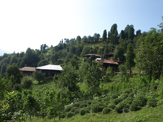 Baky2010