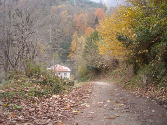 OsmanNuriKk