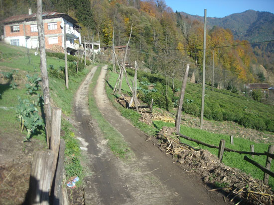 OsmanNuriKk